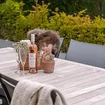 Villa Bakboord *