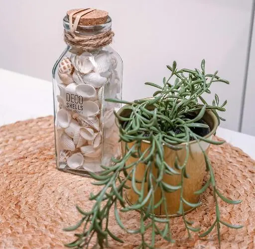 Bakboord 奥斯滕德